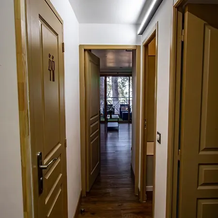 De Standing, Piscine, Tennis, * カンヌ